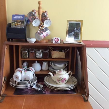 Catlins Retreat B & B Owaka Dış mekan fotoğraf