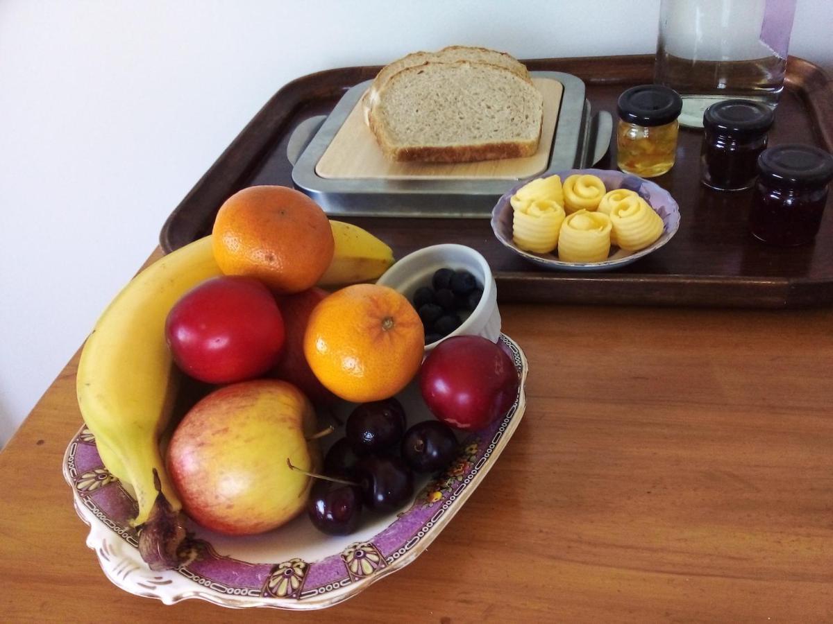 Catlins Retreat B & B Owaka Dış mekan fotoğraf
